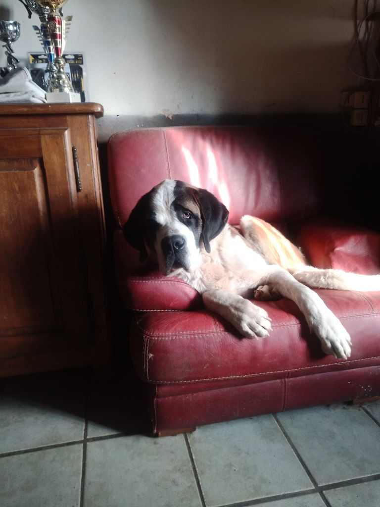 Theo Du chateau robert