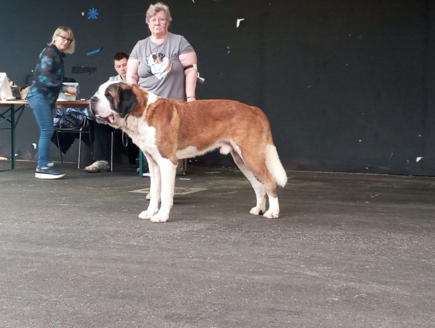 Les résultats de Theo