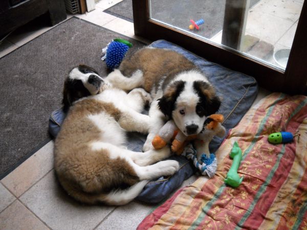 effy et etna bb vendy