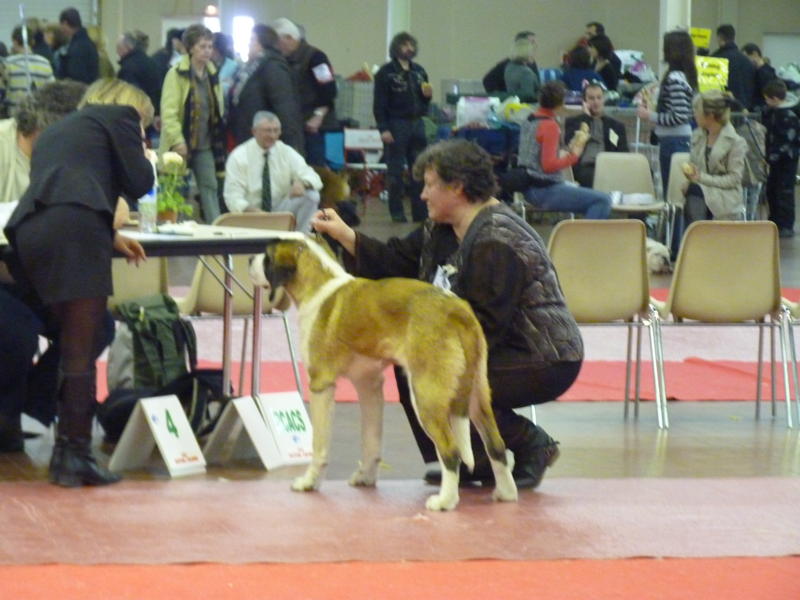 expo de Angers 23.03.2010